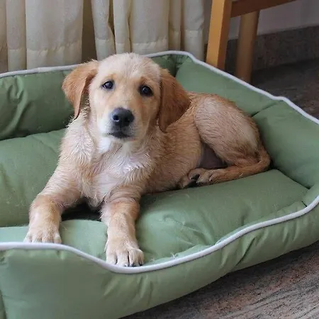 דירה Luv נורדן